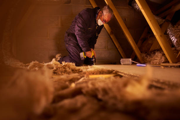 Best Attic Insulation Installation  in Leon, IA